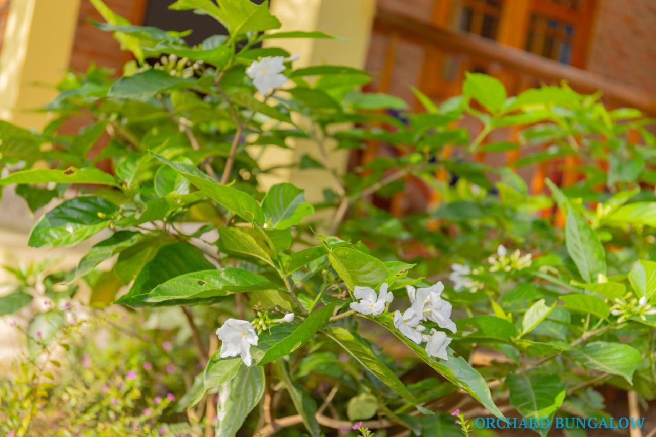 דואונג דונג Orchard Fruit Farm Bungalow מראה חיצוני תמונה