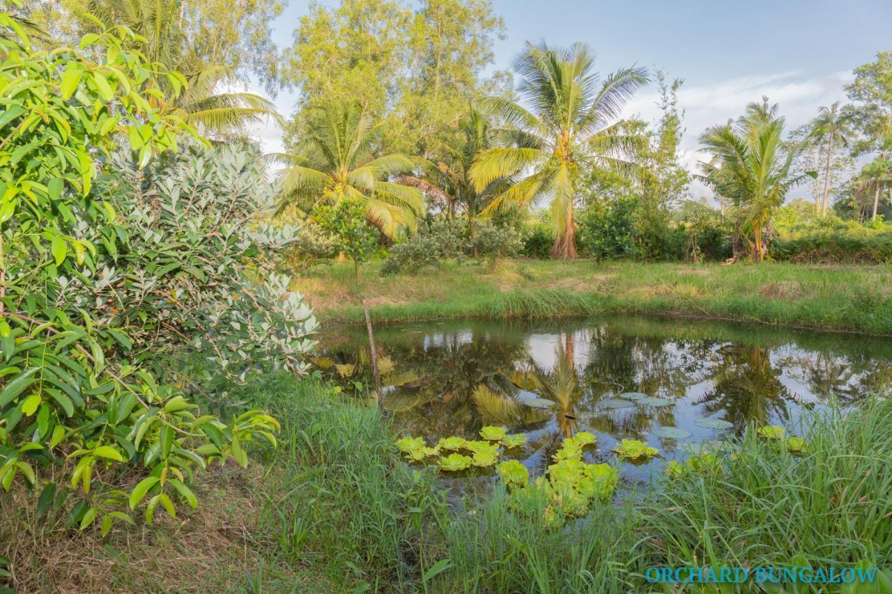 דואונג דונג Orchard Fruit Farm Bungalow מראה חיצוני תמונה