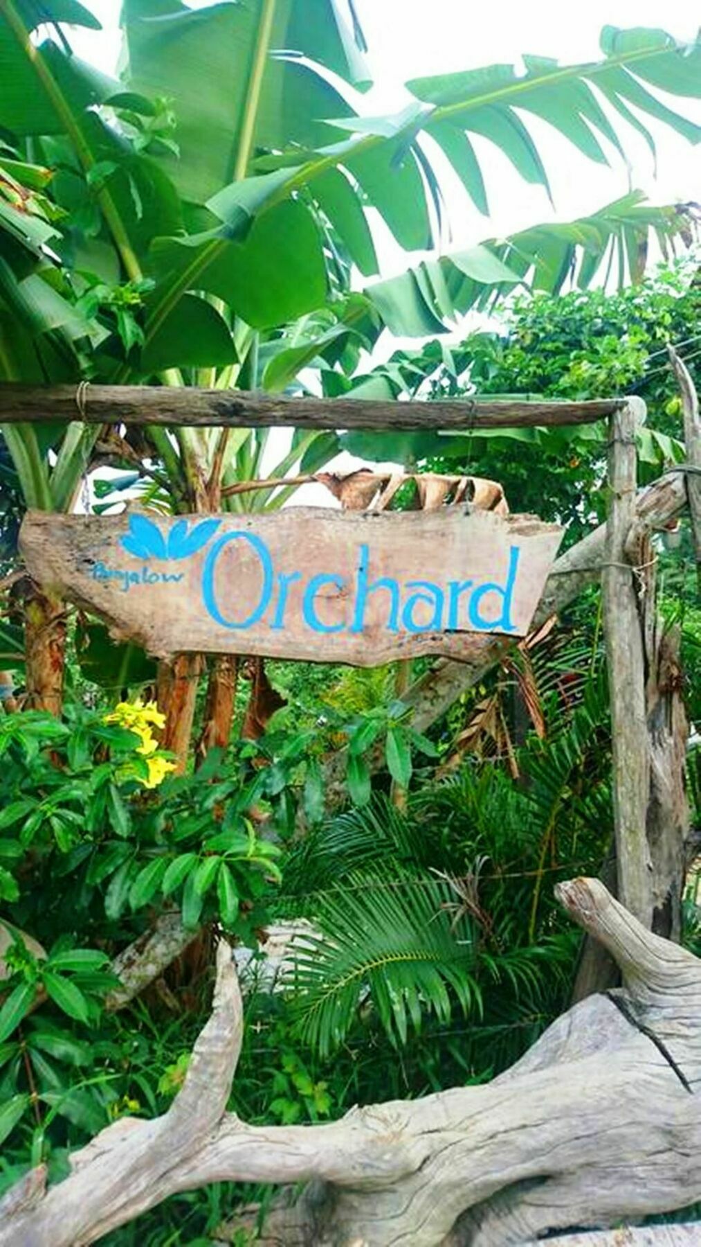 דואונג דונג Orchard Fruit Farm Bungalow מראה חיצוני תמונה