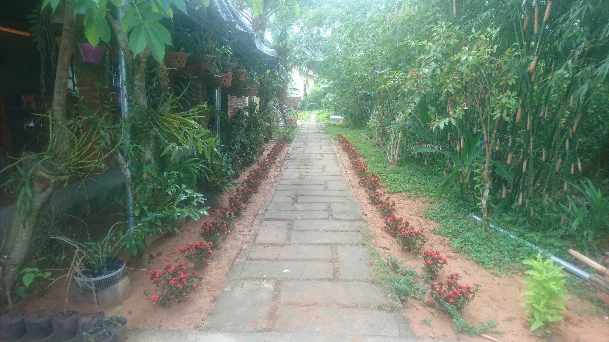 דואונג דונג Orchard Fruit Farm Bungalow מראה חיצוני תמונה
