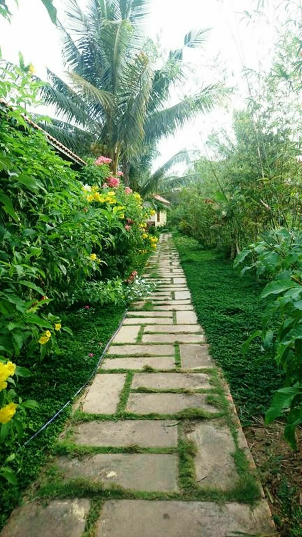 דואונג דונג Orchard Fruit Farm Bungalow מראה חיצוני תמונה